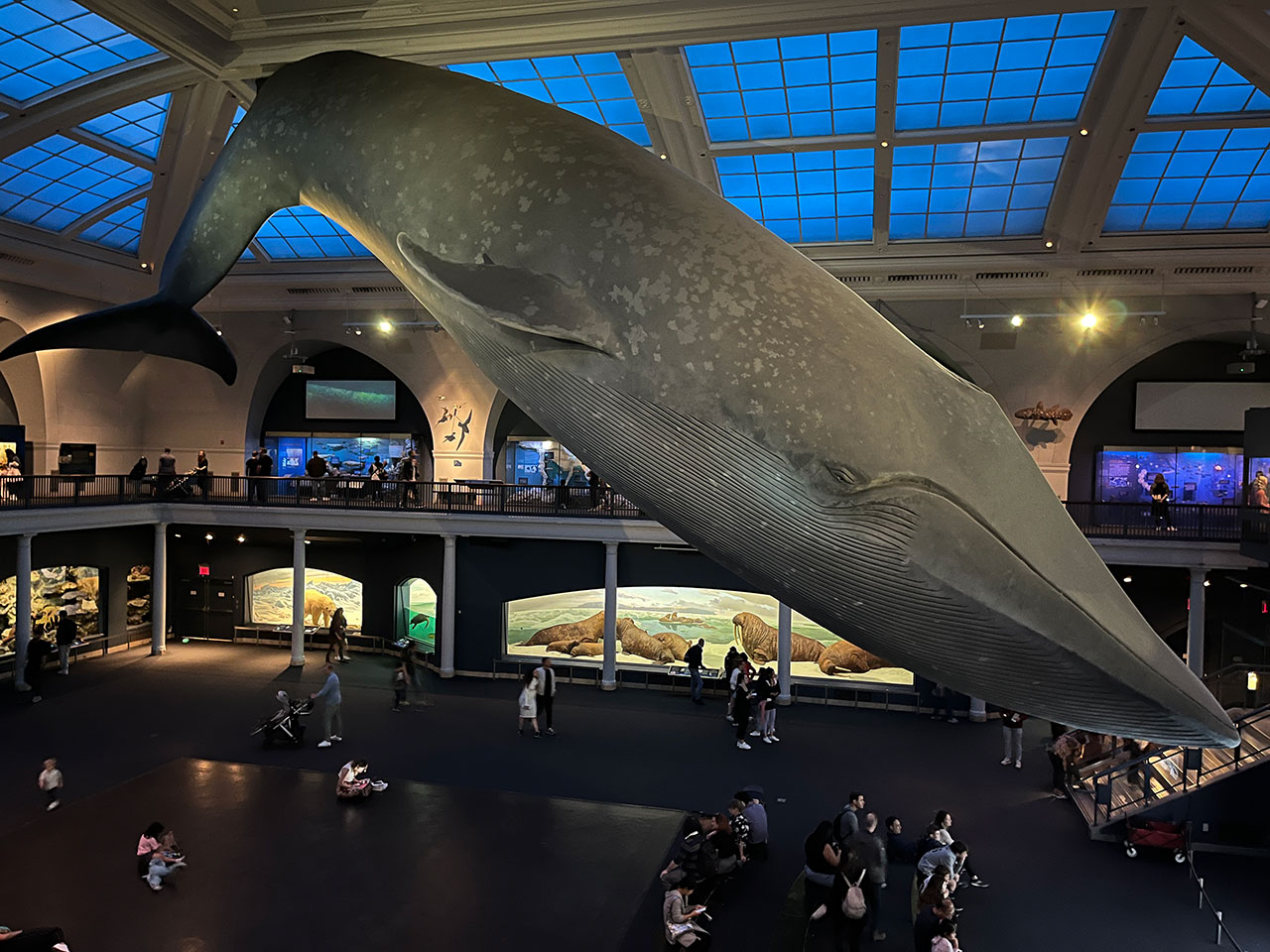 Las exposiciones imprescindibles en Nueva York